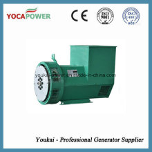 80kw grüner bürstenloser Altenator elektrischer Generator